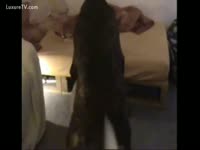 Dog Rides his Owner for a Doggy Style Fuck